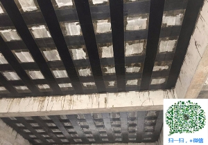 临渭厂房碳纤维加固